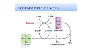 BIOCHEMISTRY OF THE REACTION
 