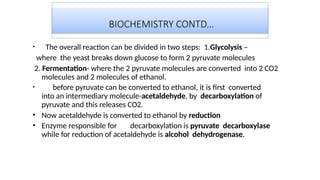 BIOCHEMISTRY CONTD…
• The overall reaction can be divided in two steps: 1.Glycolysis –
where the yeast breaks down glucose to form 2 pyruvate molecules
2. Fermentation- where the 2 pyruvate molecules are converted into 2 CO2
molecules and 2 molecules of ethanol.
• before pyruvate can be converted to ethanol, it is first converted
into an intermediary molecule-acetaldehyde, by decarboxylation of
pyruvate and this releases CO2.
• Now acetaldehyde is converted to ethanol by reduction
• Enzyme responsible for decarboxylation is pyruvate decarboxylase
while for reduction of acetaldehyde is alcohol dehydrogenase.
 