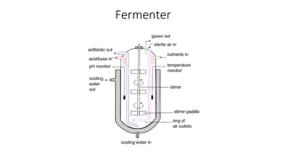 Fermenter
 