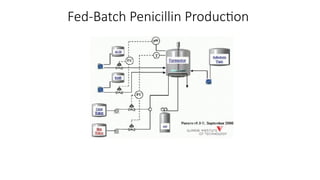 Fed-Batch Penicillin Production
 