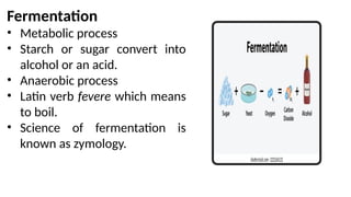 Comprehensive Overview of Fermentation: Types, Benefits, and Future ...