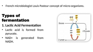 Fermentation Process Types Comprehensive Overview of Fermentation: Types, Benefits, and Future ...