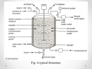 Fig: A typical fermenter.
 
