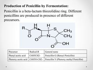 Production of Penicillin by Fermentation:
Penicillin is a beta-lactum thiozolidine ring. Different
penicillins are produced in presence of different
precursors.
Precursor Radical-R General name
Phenyl acetic acid C6H5CH2- Penicillin G (Benzyl Penicillin)
Phenoxy acetic acid C6H5O-CH2- Penicillin V (Phenoxy methyl Penicillin)
 