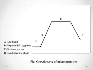 A- Lag phase
B- Exponential/Log phase
C- Stationary phase
D- Death/Decline phase
Fig: Growth curve of microorganisms
 