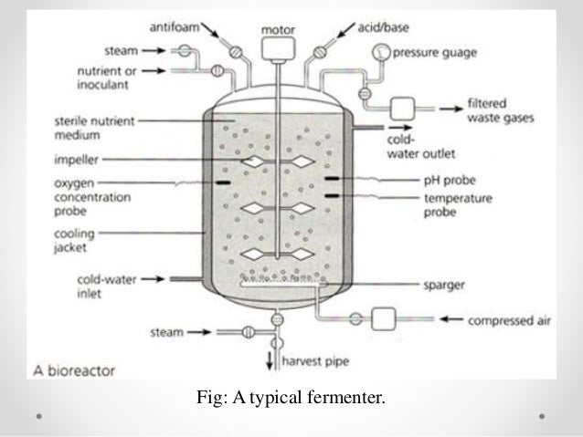 Fermentation technology - Fermentation Technology 14 638