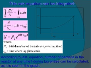 According to last equation, number of bacteria in the
reactor at any time t during log phase can be calculated,
as it is s...