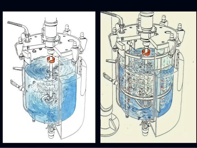 Fermentation technology, Bioprocess Principles - Fermentation Technology Bioprocess Principles 34 638