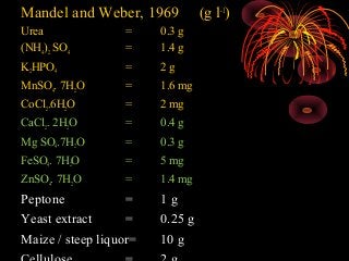 Mandel and Weber, 1969 (g l-1
)
Urea = 0.3 g
(NH4)2 SO4 = 1.4 g
K2HPO4 = 2 g
MnSO4. 7H2O = 1.6 mg
CoCl2.6H2O = 2 mg
CaCl2. 2H2O = 0.4 g
Mg SO4.7H2O = 0.3 g
FeSO4. 7H2O = 5 mg
ZnSO4. 7H2O = 1.4 mg
Peptone = 1 g
Yeast extract = 0.25 g
Maize / steep liquor= 10 g
 