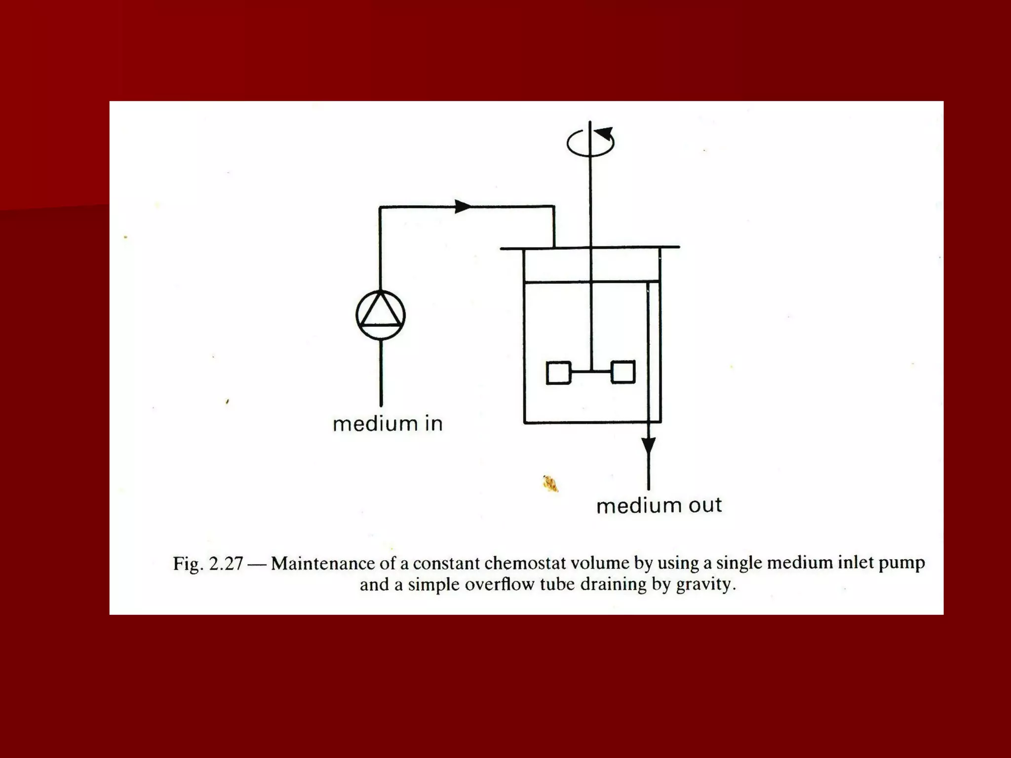 Batch Fed Batch Continuous Cultivation Ppt Batch Fed Batch Continuous Cultivation Ppt