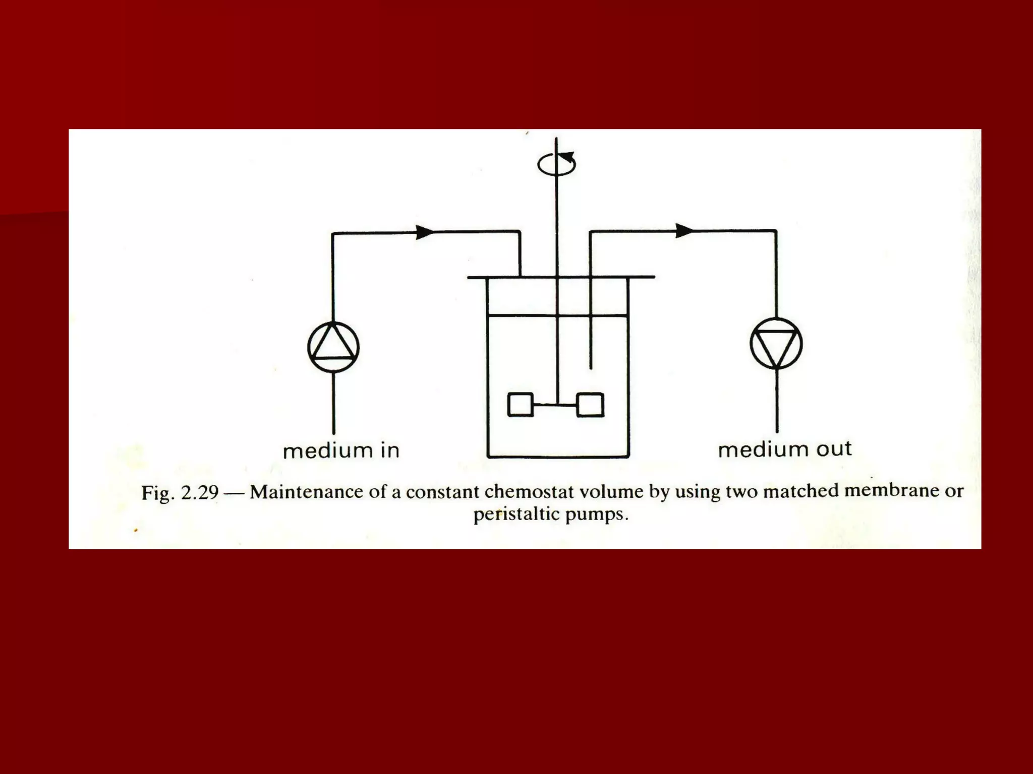 Batch Fed Batch Continuous Cultivation Ppt Batch Fed Batch Continuous Cultivation Ppt