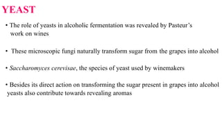 YEAST
• The role of yeasts in alcoholic fermentation was revealed by Pasteur’s
work on wines
• These microscopic fungi nat...
