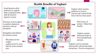 Health Benefits of Yoghurt
Yoghurt is rich in essential
minerals like calcium that helps
strong bone - Prevent osteoporosis
The lactic acid of yoghurt
is a perfect medium to
maximize calcium
absorption
Strengthens and stabilize
the immune system
Yoghurt contains
Potassium helps in
Prevent high blood
pressure
May help you lose
weight -
yoghurt lost 81% more
than fat in the stomach
area
Rich source of
protein - Makes hair
healthy
Yoghurt which contains
probiotics as well as
calcium and vitamin D that
lower risk for colon cancer
Good bacteria called
probiotics in yoghurt
helps in digestion than
milk & Good for
digestive system
 