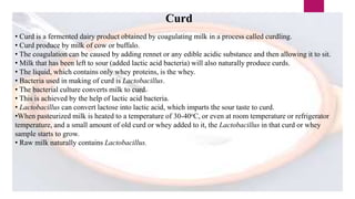 Curd
• Curd is a fermented dairy product obtained by coagulating milk in a process called curdling.
• Curd produce by milk of cow or buffalo.
• The coagulation can be caused by adding rennet or any edible acidic substance and then allowing it to sit.
• Milk that has been left to sour (added lactic acid bacteria) will also naturally produce curds.
• The liquid, which contains only whey proteins, is the whey.
• Bacteria used in making of curd is Lactobacillus.
• The bacterial culture converts milk to curd.
• This is achieved by the help of lactic acid bacteria.
• Lactobacillus can convert lactose into lactic acid, which imparts the sour taste to curd.
•When pasteurized milk is heated to a temperature of 30-40oC, or even at room temperature or refrigerator
temperature, and a small amount of old curd or whey added to it, the Lactobacillus in that curd or whey
sample starts to grow.
• Raw milk naturally contains Lactobacillus.
 