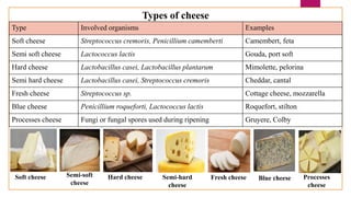 Types of cheese
Type Involved organisms Examples
Soft cheese Streptococcus cremoris, Penicillium camemberti Camembert, feta
Semi soft cheese Lactococcus lactis Gouda, port soft
Hard cheese Lactobacillus casei, Lactobacillus plantarum Mimolette, pelorina
Semi hard cheese Lactobacillus casei, Streptococcus cremoris Cheddar, cantal
Fresh cheese Streptococcus sp. Cottage cheese, mozzarella
Blue cheese Penicillium roqueforti, Lactococcus lactis Roquefort, stilton
Processes cheese Fungi or fungal spores used during ripening Gruyere, Colby
Semi-hard
cheese
Hard cheese
Semi-soft
cheese
Soft cheese Fresh cheese Blue cheese Processes
cheese
 