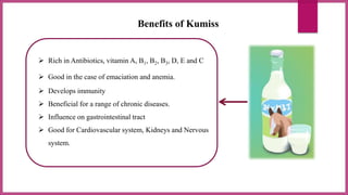 Benefits of Kumiss
 Rich in Antibiotics, vitamin A, B1, B2, B3, D, E and C
 Good in the case of emaciation and anemia.
 Develops immunity
 Beneficial for a range of chronic diseases.
 Influence on gastrointestinal tract
 Good for Cardiovascular system, Kidneys and Nervous
system.
 