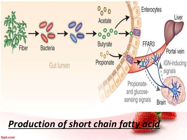 Foods High In Short Chain Fatty Acids Foods High In Short Chain Fatty Acids