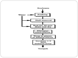 Fermented foods.pptx
