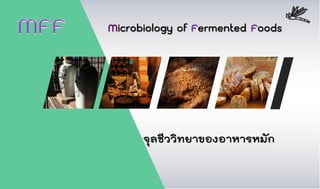 จุลชีววิทยาของอาหารหมัก
Microbiology of Fermented Foods
 