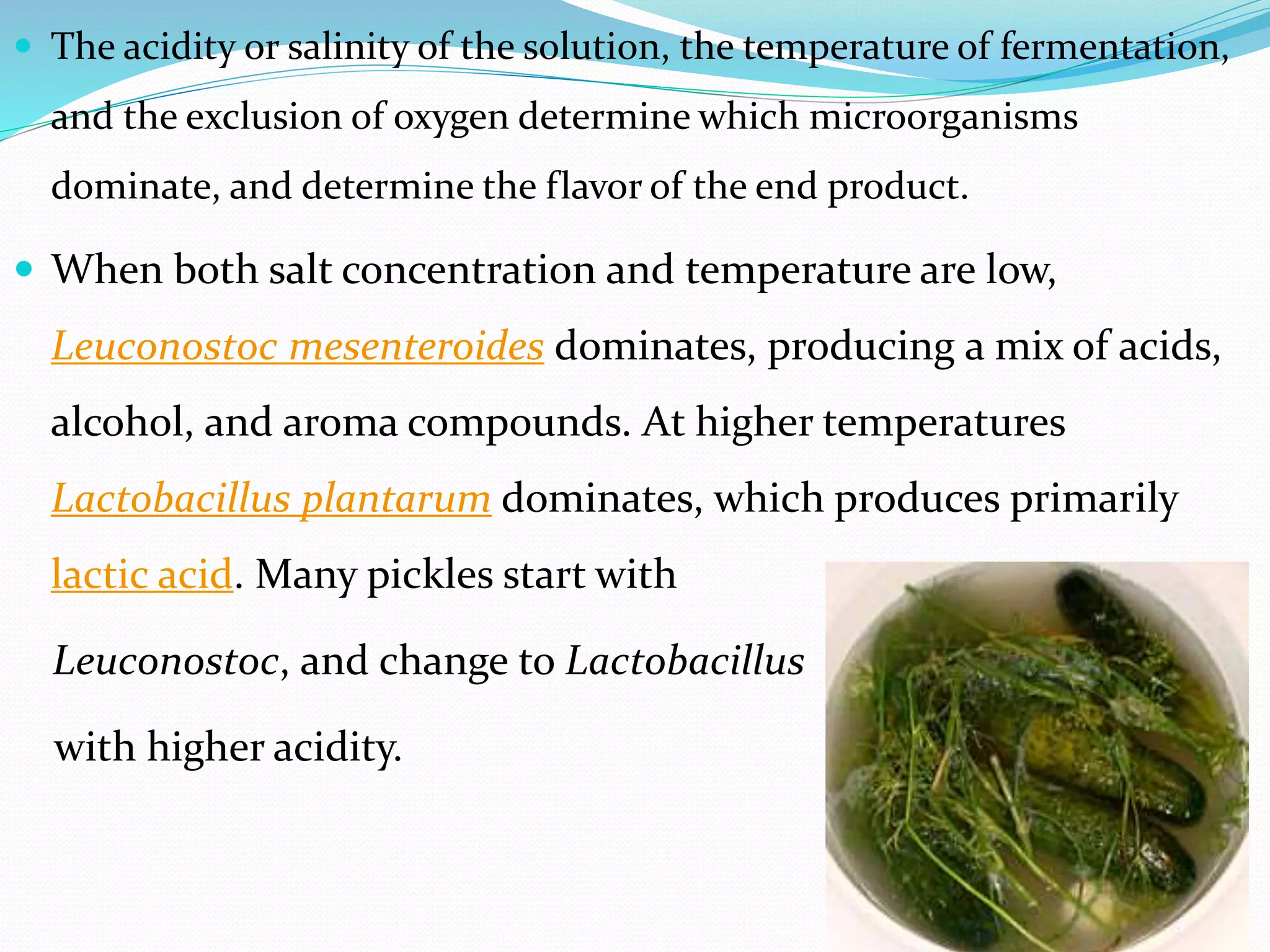 Fermented foods ppt | PPTX