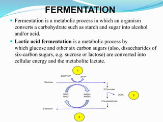 Fermented milk 1 | PPTX