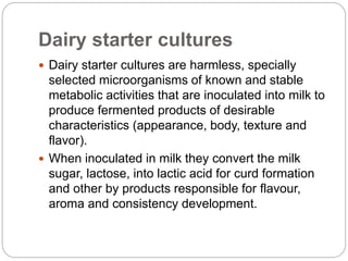 Dairy starter cultures
 Dairy starter cultures are harmless, specially
selected microorganisms of known and stable
metabo...
