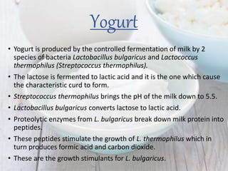Yogurt
• Yogurt is produced by the controlled fermentation of milk by 2
species of bacteria Lactobacillus bulgaricus and Lactococcus
thermophilus (Streptococcus thermophilus).
• The lactose is fermented to lactic acid and it is the one which cause
the characteristic curd to form.
• Streptococcus thermophilus brings the pH of the milk down to 5.5.
• Lactobacillus bulgaricus converts lactose to lactic acid.
• Proteolytic enzymes from L. bulgaricus break down milk protein into
peptides.
• These peptides stimulate the growth of L. thermophilus which in
turn produces formic acid and carbon dioxide.
• These are the growth stimulants for L. bulgaricus.
 