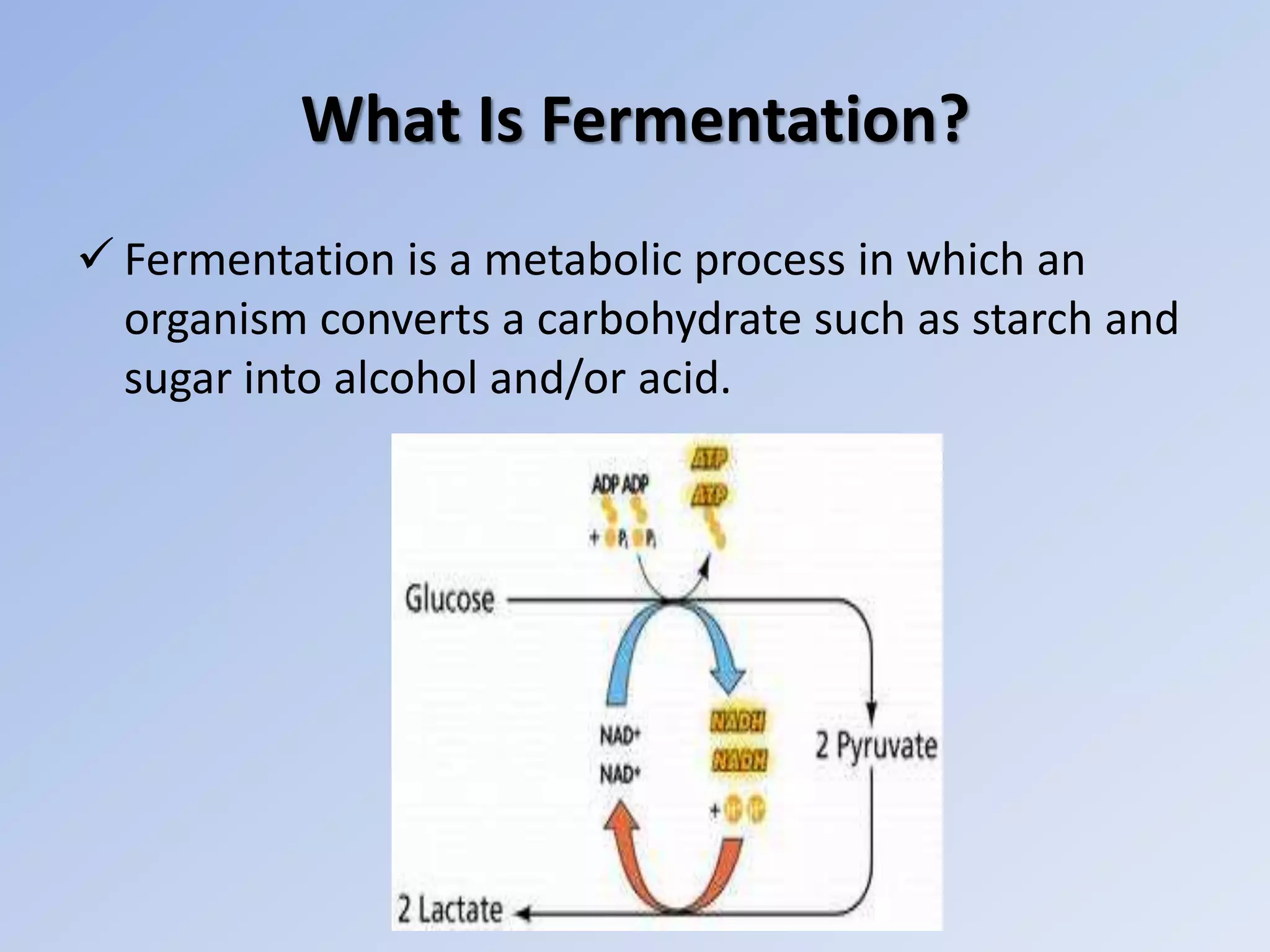 Fermented milk products | PPT