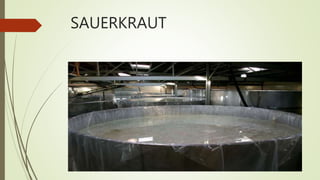 SAUERKRAUT
 