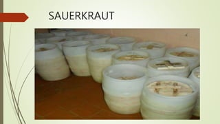 SAUERKRAUT
 