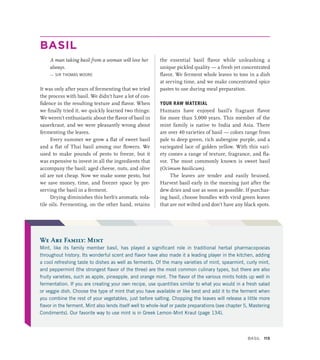BASIL
A man taking basil from a woman will love her
always.
— SIR THOMAS MOORE
It was only after years of fermenting that we tried
the process with basil. We didn’t have a lot of con-
fidence in the resulting texture and flavor. When
we finally tried it, we quickly learned two things:
We weren’t enthusiastic about the flavor of basil in
sauerkraut, and we were pleasantly wrong about
fermenting the leaves.
Every summer we grow a flat of sweet basil
and a flat of Thai basil among our flowers. We
used to make pounds of pesto to freeze, but it
was expensive to invest in all the ingredients that
accompany the basil; aged cheese, nuts, and olive
oil are not cheap. Now we make some pesto, but
we save money, time, and freezer space by pre-
serving the basil in a ferment.
Drying diminishes this herb’s aromatic vola-
tile oils. Fermenting, on the other hand, retains
the essential basil flavor while unleashing a
unique pickled quality — a fresh yet concentrated
flavor. We ferment whole leaves to toss in a dish
at serving time, and we make concentrated spice
pastes to use during meal preparation.
YOUR RAW MATERIAL
Humans have enjoyed basil’s fragrant flavor
for more than 5,000 years. This member of the
mint family is native to India and Asia. There
are over 40 varieties of basil — colors range from
pale to deep green, rich aubergine purple, and a
variegated lace of golden yellow. With this vari-
ety comes a range of texture, fragrance, and fla-
vor. The most commonly known is sweet basil
(Ocimum basilicum).
The leaves are tender and easily bruised.
Harvest basil early in the morning just after the
dew dries and use as soon as possible. If purchas-
ing basil, choose bundles with vivid green leaves
that are not wilted and don’t have any black spots.
We Are Family: Mint
Mint, like its family member basil, has played a significant role in traditional herbal pharmacopoeias
throughout history. Its wonderful scent and flavor have also made it a leading player in the kitchen, adding
a cool refreshing taste to dishes as well as ferments. Of the many varieties of mint, spearmint, curly mint,
and peppermint (the strongest flavor of the three) are the most common culinary types, but there are also
fruity varieties, such as apple, pineapple, and orange mint. The flavor of the various mints holds up well in
fermentation. If you are creating your own recipe, use quantities similar to what you would in a fresh salad
or veggie dish. Choose the type of mint that you have available or like best and add it to the ferment when
you combine the rest of your vegetables, just before salting. Chopping the leaves will release a little more
flavor in the ferment. Mint also lends itself well to whole-leaf or paste preparations (see chapter 5, Mastering
Condiments). Our favorite way to use mint is in Greek Lemon-Mint Kraut (page 134).
Basil 113
 