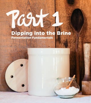 Dipping into the Brine
Fermentation Fundamentals
 