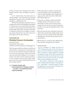 wilting. To make it last a bit longer, store it like a
bouquet, with the stems submerged in a glass of
water.
In the United States, the dried seeds are
called coriander. You’ll find them both ground
and whole in the spice section. Coriander is indis-
pensable in a pickling spice mix.
We like to ferment green coriander seeds, an
ingredient for which you’ll probably need a garden
or a planter box, as you most likely won’t find it
in stores. To harvest, pluck the seeds before they
develop fully, when they’re still green. The flavor
is somewhere between the coriander it’s becom-
ing and the cilantro that it was. The seeds are in
this magical state for only a few days.
IN THE PICKLE JAR
Pickled Green Coriander
yield: about ½ pint
(fermentation vessel: 1 pint)
technique used: Mastering Brine Pickling (page 77)
These tiny green pickles are delicious, and the size
of your batch is a testament to your patience. The
best way we have found to bring some efficiency
to the task of removing the small round seeds
from the stalk of the seedhead is to use a pair of
scissors. You will not need to make much brine,
so if it’s possible to time it with another pickle
project you can just take a little brine for your itty-
bitty coriander pickles.
½–1 cup green coriander seeds
1 cup Cucumber Brine (2 teaspoons unrefined
sea salt to 1 cup unchlorinated water)
		 Grape leaf (optional)
1. Place the seeds in a small jar, leaving a few
inches of headspace. Pour in enough brine to
cover the seeds completely. Place a grape leaf, if
using, over the seeds. Top with a sealed water-
filled ziplock bag or jar.
2. Set aside, somewhere nearby, out of direct
sunlight, and cool. Ferment for 4 to 7 days.
Check daily to make sure the seeds stay sub-
merged. You may see scum on top; it’s generally
harmless, but consult the appendix if you’re at all
concerned.
3. As the seeds ferment, they begin to lose their
vibrant color and the brine will get cloudy; this is
when you can start to test the seeds. They will be
pleasingly sour and taste like tiny pickles with a
cilantro finish.
4. Store these in a small jar with a tightened lid.
They will keep, refrigerated, for 6 months.
Kirsten Writes
*
As a gardener, I’m always sad when the
cilantro plants begin to bolt. The leaves are
sparse as the plant reaches up to flower and go to
seed, and they’re no longer available for snipping
and adding to recipes at will. When the plants are
producing well, there are extra leaves that I could
preserve, but the sensitive aromatic oils that give
cilantro its flavor disappear when dried.
One summer I decided to try fermenting the
green coriander seeds and leaves. It was astonish-
ing — and thrilling — how well it worked. This was
the beginning of my journey down the path of fer-
mented flavor bases and pastes.
Cilantro (Coriander) 161
 