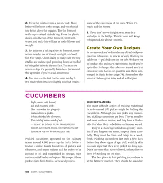 2. Press the mixture into a jar or crock. More
brine will release at this stage, and you should
see brine above the veggies. Top the ferment
with a quart-sized ziplock bag. Press the plastic
down onto the top of the ferment, fill it with
water, and seal; this will act as both follower and
weight.
3. Set aside on a baking sheet to ferment, some-
where nearby, out of direct sunlight, and cool,
for 3 to 4 days. Check daily to make sure the veg-
etables are submerged, pressing down as needed
to bring the brine to the surface. You may see
scum on top; it’s generally harmless, but consult
the appendix if you’re at all concerned.
4. You can start to test the ferment on day 3.
It’s ready when it tastes slightly sour but retains
some of the sweetness of the corn. When it’s
ready, add the honey.
5. If you don’t serve it right away, store in a
sealed jar in the fridge. This ferment will keep,
refrigerated, for about 1 month.
Create Your Own Recipes
In our research we’ve found many old-school pres-
ervation references to crocks of cobs floating in
salt brine — pickled corn on the cob! We have yet
to conduct this culinary experiment, but if you’re
up to the challenge: the cobs are cleaned and cut
crosswise into halves or quarters and then sub-
merged in Basic Brine (page 78). Remember the
mantra: Submerge in brine and all will be fine.
CUCUMBERS
Light, water, salt, bread,
dill and mustard seed:
Our cucumber has gingerly
matured into a pickle.
It has absorbed the elements.
The child of nature and of art.
— “XENIA,” BY GYÖRGY PETRI, TRANSLATED BY
ROBERT AUSTERLITZ, FROM CONTEMPORARY EAST
EUROPEAN POETRY: AN ANTHOLOGY, 1983
Pickled cucumbers appeared on the culinary
scene around 4,000 years ago in India. Modern
Indian cuisine boasts hundreds of pickles and
chutneys, and many recipes call for cukes to be
cooked in oil and suspended in vinegar, with
antimicrobial herbs and spices. We suspect these
pickles were born from a lactic-acid process.
YOUR RAW MATERIAL
The most difficult aspect of making traditional
lacto-fermented dill pickles might be finding the
cucumbers. Although you can pickle any cucum-
ber, pickling cucumbers are best. They’re smaller
and more uniform in size, and they have a thicker
skin that’s less likely to be bitter and is never waxed.
They’re a challenge to find in a grocery store,
but if you happen on some, inspect them care-
fully. They must be firm and crisp: in a word,
fresh. Pickling cucumbers last only a few days
before they show signs of age; dull, wrinkly skin
is a sure sign that they were picked too long ago.
Don’t buy ones that have yellowed, either; they’ve
been left too long on the vine.
The best place to find pickling cucumbers is
at the farmers’ market. They should be available
166 Corn–Cucumbers
 