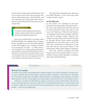 for a few weeks in late summer. Ask farmers early
in the season if they’ll have them. Because they
require daily picking, have a brief shelf life, and
are a specialty crop, many growers don’t want to
take the risk that they’ll be tossing them onto the
compost pile.
FERMENTISTA’S TIP
Cucumbers pickle quickly because the juice
contains certain elements that encourage the
growth of Lactobacillus plantarum.
One year we worked with a cucumber called
the White Wonder. Our neighbor Josh, an organic
farmer, introduced us to this ivory-white-skinned
variety. We thought it was a brand-new hybrid.
It was brand-new all right — in 1893, when it
was introduced. It’s an open-pollinated heirloom
acquired by the seedsman W. Atlee Burpee from a
customer in western New York State. We’ve made
a lot of pickles, but we were impressed with the
way it holds a sweet flavor and a crisp texture.
If you don’t have the garden space, grow your
own White Wonders, or one of the many other
compact varieties, in pots.
IN THE PICKLE JAR
In this country, the archetype for the lacto-­
fermented cucumber pickle is the kosher dill —
the cool, crisp, garlicky deli dills that came out
of a barrel and were sold in New York as “full-
sours” and “half-sours.” Often the first business
an immigrant from Eastern European could start
was that of a pushcart vendor. Pushcarts were
cheap to rent and mobile, and the market for pick-
les was good. Many of these vendors eventually
bought their own carts, then stores. In New York,
these were concentrated in Manhattan’s Lower
East Side and the area became known as the
pickle district. Most of these shops are long gone.
That said, salt-brine pickling came from
Europe much earlier. Dutch settlers in the sev-
enteenth century pickled Brooklyn cucumbers,
which they sold in Manhattan.
FERMENTISTA’S TIP
Bitter Cucumbers
Cucumbers can be bitter, and pickling doesn’t solve the problem. All cucurbits (members of the gourd fam-
ily, such as squash) produce bitter organic compounds called cucurbitacins. They hang out in the leaves,
but if the plant is stressed (by, for example, deep fluctuations in temperature, uneven watering, or extreme
heat) they enter the fruit. Unfortunately, once a plant starts to produce bitter fruit, it will continue to do so.
Commonly, cucumbers are left whole for pickling, so how do you know if they’re bitter? Just taste one
or two; that should tell you if you have a bitter batch. Occasionally the bitterness is in just the ends of the
cucumber. If that’s the case, slice them off and you’re good to go. If a cuke is bitter, don’t try to ferment it
anyway — you’ll be very disappointed.
Cucumbers 167
 