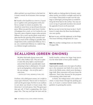 effort and don’t see much brine in the bowl, let
it stand, covered, for 45 minutes, then massage
again.
3. Transfer a few handfuls at a time to a 2-quart
jar or 1-gallon crock, pressing down with your
fist or a tamper to remove air pockets. You
should see some brine on top of kraut when you
press. When you pack the vessel, leave 4 inches
of headspace for a crock, or 2 to 3 inches for a jar.
Top with a piece of plastic wrap or other primary
follower. For a crock, top the plastic wrap with a
plate that fits the opening of the container and
covers as much of the rutabaga as possible; then
weight down with a sealed water-filled jar. For a
jar, use a sealed water-filled jar or a ziplock bag
as a follower-weight combination.
4. Set aside on a baking sheet to ferment, some-
where nearby, out of direct sunlight, and cool, for
4 to 14 days. Check daily to make sure the ruta-
baga is submerged, pressing down as needed to
bring the brine back to the surface. You may see
scum on top; it’s generally harmless, but consult
the appendix if you’re at all concerned.
5. You can start to test the kraut on day 4. You’ll
know it’s ready when the flavor has developed a
nice sour quality.
6. Store in jars, with lids tightened, in the fridge.
This kraut will keep, refrigerated, for 1 year.
Note: For another rutabaga kraut, see Sauerrüben
III (page 248).
SCALLIONS (GREEN ONIONS)
My father liked stalks of green onions with
sweet, white, bulbous roots. They sat in a plate
in water, like celery; before a meal he’d pick
and eat them like fruit, especially before meals
containing turnip or collard greens. He would
say he was laying down a bed of straw before
the cows and pigs — the rest of the meal —
came home.
— DEXTER SCOTT KING, GROWING UP KING, 2003
Scallions, also called green onions, are a staple in
many types of kimchi. They’re rich in vitamins A
and C (in the green tops). Feel free to use scallions
in just about any kimchi or kraut recipe. Slice
them into 1- to 2-inch pieces. Note: The green part
does get soft. If that’s unappealing, slice them
paper thin. That way you’ll get the taste and the
health benefits, without the larger limp pieces.
Use the white bulbs in brine pickle medleys.
YOUR RAW MATERIAL
Supermarkets usually carry two types of scallion:
one is the immature root bulb of an onion; the
other is the Welsh onion, which never develops a
large bulb. Most consumers will never know the
difference. That’s okay, because for the purposes
of fermenting, either works well.
In Korea, the wakegi onion is the scallion of
choice. It stays firmer through the pickling pro-
cess, so if you’re a serious kimchi maker and a
gardener, try growing this variety.
226 Rutabaga–Scallions (Green Onions)
 
