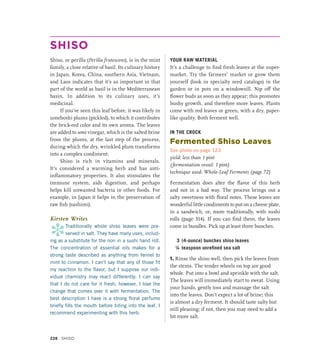 SHISO
Shiso, or perilla (Perilla frutescens), is in the mint
family, a close relative of basil. Its culinary history
in Japan, Korea, China, southern Asia, Vietnam,
and Laos indicates that it’s as important in that
part of the world as basil is in the Mediterranean
basin. In addition to its culinary uses, it’s
medicinal.
If you’ve seen this leaf before, it was likely in
umeboshi plums (pickled), to which it contributes
the brick-red color and its own aroma. The leaves
are added to ume vinegar, which is the salted brine
from the plums, at the last step of the process,
during which the dry, wrinkled plum transforms
into a complex condiment.
Shiso is rich in vitamins and minerals.
It’s considered a warming herb and has anti-­
inflammatory properties. It also stimulates the
immune system, aids digestion, and perhaps
helps kill unwanted bacteria in other foods. For
example, in Japan it helps in the preservation of
raw fish (sashimi).
Kirsten Writes
*
Traditionally whole shiso leaves were pre-
served in salt. They have many uses, includ-
ing as a substitute for the nori in a sushi hand roll.
The concentration of essential oils makes for a
strong taste described as anything from fennel to
mint to cinnamon. I can’t say that any of those fit
my reaction to the flavor, but I suppose our indi-
vidual chemistry may react differently. I can say
that I do not care for it fresh; however, I love the
change that comes over it with fermentation. The
best description I have is a strong floral perfume
briefly fills the mouth before biting into the leaf. I
recommend experimenting with this herb.
YOUR RAW MATERIAL
It’s a challenge to find fresh leaves at the super-
market. Try the farmers’ market or grow them
yourself (look in specialty seed catalogs) in the
garden or in pots on a windowsill. Nip off the
flower buds as soon as they appear; this promotes
bushy growth, and therefore more leaves. Plants
come with red leaves or green, with a dry, paper-
like quality. Both ferment well.
IN THE CROCK
Fermented Shiso Leaves
See photo on page 123
yield: less than 1 pint
(fermentation vessel: 1 pint)
technique used: Whole-Leaf Ferments (page 72)
Fermentation does alter the flavor of this herb
and not in a bad way. The process brings out a
salty sweetness with floral notes. These leaves are
wonderful little condiments to put on a cheese plate,
in a sandwich, or, more traditionally, with sushi
rolls (page 314). If you can find them, the leaves
come in bundles. Pick up at least three bunches.
3 (4-ounce) bunches shiso leaves
¼ teaspoon unrefined sea salt
1. Rinse the shiso well, then pick the leaves from
the stems. The tender whorls on top are good
whole. Put into a bowl and sprinkle with the salt.
The leaves will immediately start to sweat. Using
your hands, gently toss and massage the salt
into the leaves. Don’t expect a lot of brine; this
is almost a dry ferment. It should taste salty but
still pleasing; if not, then you may need to add a
bit more salt.
228 Shiso
 