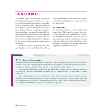 SUNCHOKES
These edible tubers are also known as Jerusalem
artichokes, earth apples, topinambur, or sun roots.
A perennial member of the sunflower clan, indig-
enous to the eastern United States, sunchokes can
be found in the wild, in the supermarket, and in
many gardens. They are in a group of vegetables
that contain larger amounts of nondigestible car-
bohydrates called prebiotics: when these vegetables
are consumed, they promote increased levels and
activity of beneficial gut bacteria. Other vegetables
in this group include asparagus, garlic, onions,
and jicama.
Sunchokes are deliciously crisp when eaten
raw; they have a sweet, nutty flavor that holds up
nicely in fermentation. Like many roots they are
sweeter in the fall and winter, which is also when
they are freshest.
THE RAW MATERIAL
You want the sunchokes to be firm, with smooth
brown skin. Well, relatively smooth; there are
all the bumps after all. Avoid any with bruises,
which will feel like soft spots. Also avoid any with
sprouts. Peeling sunchokes is a matter of personal
preference. We always peel the skins. If you prefer
not to peel, scrub them well, paying attention to
any grit that might hide in the folds.
We Are Family: Scorzonera
Scorzonera hispanica, or black salsify, also a member of the sunflower family, has quite a few folk names;
two of the more colorful are viper’s grass and goatsbeard. Having sons, we saw viper’s grass as an opportu-
nity to entice the boys with a fermented creation — how about some Viper Kraut?
These roots are black, sticky, usually dirty, and a bit gnarled, so as a food, at first glance, unappetiz-
ing. When you clean and peel this root, your hands will turn sticky and black. The good news — it easily
washes off.
Black salsify stays firm when you handle or cook it. Raw, it’s crunchy, with a texture almost like coconut.
That same crunch and texture make it an excellent candidate for fermentation. You can make a tasty, pure
scorzonera ferment, but because of the small size of the roots, it’s a lot of work for a small return. Instead,
add this root to other ferments as you would burdock (see page 129).
236 SUNCHOKES
 
