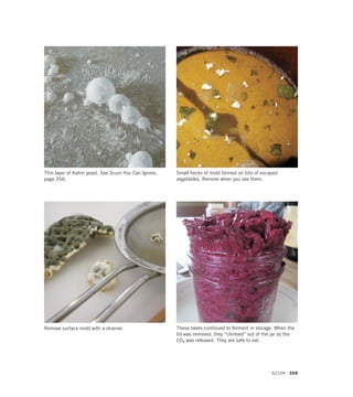 Small flecks of mold formed on bits of escaped
vegetables. Remove when you see them.
Remove surface mold with a strainer.
Thin layer of Kahm yeast. See Scum You Can Ignore,
page 356.
These beets continued to ferment in storage. When the
lid was removed, they “climbed” out of the jar as the
CO2 was released. They are safe to eat.
SCUM 359
 