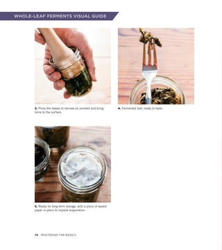 WHOLE-LEAF FERMENTS VISUAL GUIDE
5. Ready for long-term storage, with a piece of waxed
paper in place to impede evaporation.
3. Press the leaves to remove air pockets and bring
brine to the surface.
4. Fermented leaf, ready to taste.
74 Mastering the Basics
 