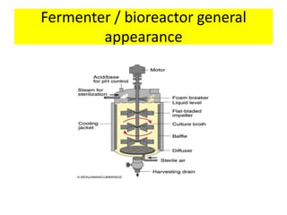 Fermentation and bio-reactor design | PPTX