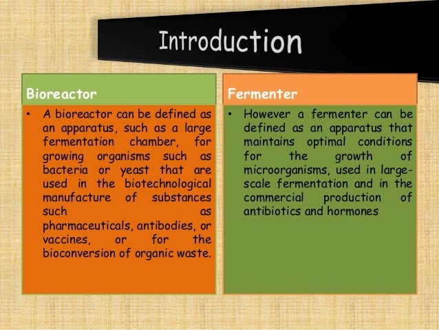 Fermentation And Bio Reactor Design