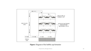 Prepared by: Bhargavi Mistry 28
Figure: Diagram of the bubble cap fermenter
 