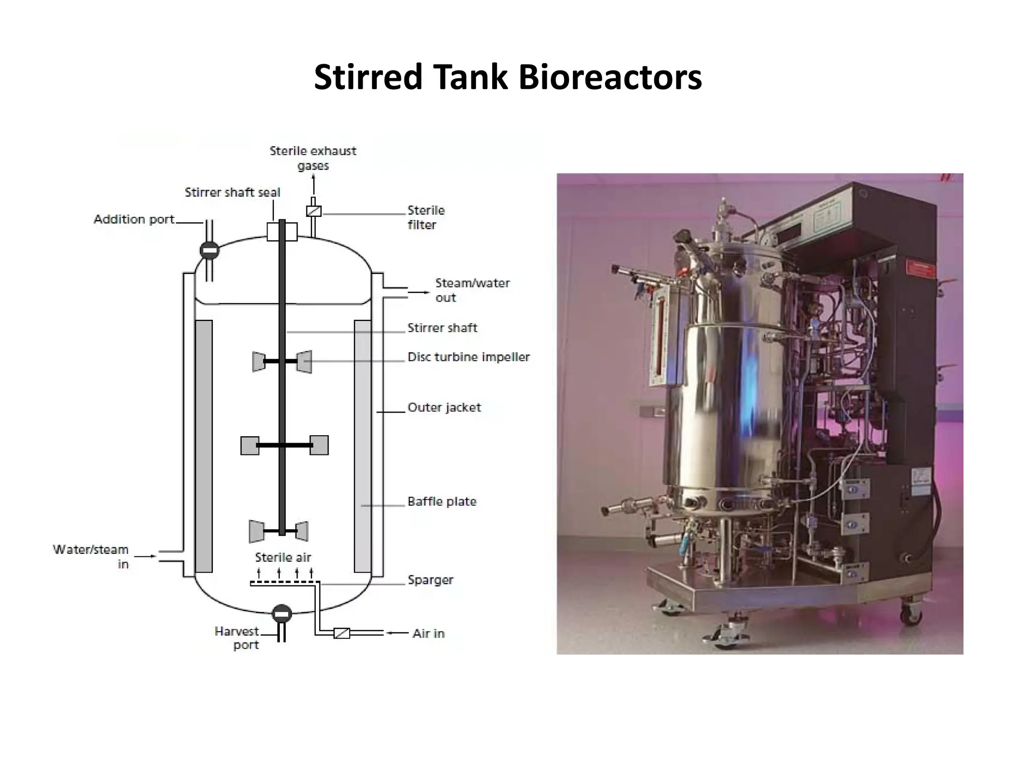 Stirred Tank Bioreactors
 