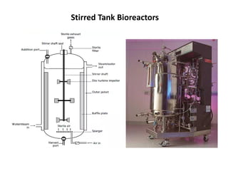Fermenter and Bioreactor.All kind of theory of bioreactor | PDF