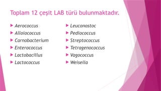 Alloiococcus FERMENTE SÜT ÜRÜNLERİ, FAYDALARI VE ÜRETİMİ | PPTX