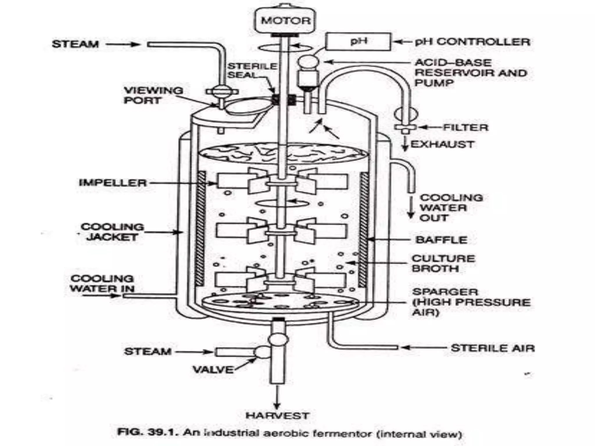 Fermentor | PPTX