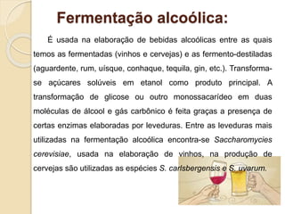Fermentação alcoólica:
É usada na elaboração de bebidas alcoólicas entre as quais
temos as fermentadas (vinhos e cervejas) e as fermento-destiladas
(aguardente, rum, uísque, conhaque, tequila, gin, etc.). Transforma-
se açúcares solúveis em etanol como produto principal. A
transformação de glicose ou outro monossacarídeo em duas
moléculas de álcool e gás carbônico é feita graças a presença de
certas enzimas elaboradas por leveduras. Entre as leveduras mais
utilizadas na fermentação alcoólica encontra-se Saccharomycies
cerevisiae, usada na elaboração de vinhos, na produção de
cervejas são utilizadas as espécies S. carlsbergensis e S. uvarum.
 
