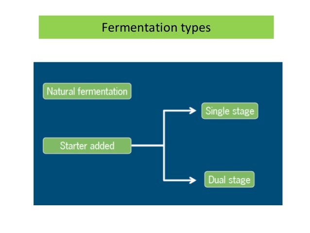 Fermentation types for Food Products - Fermentation Types For FooD ProDucts 1 638