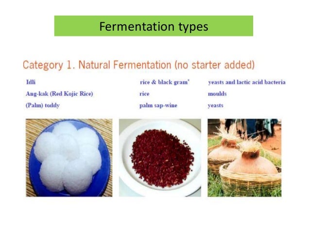 Fermentation types for Food Products - Fermentation Types For FooD ProDucts 4 638